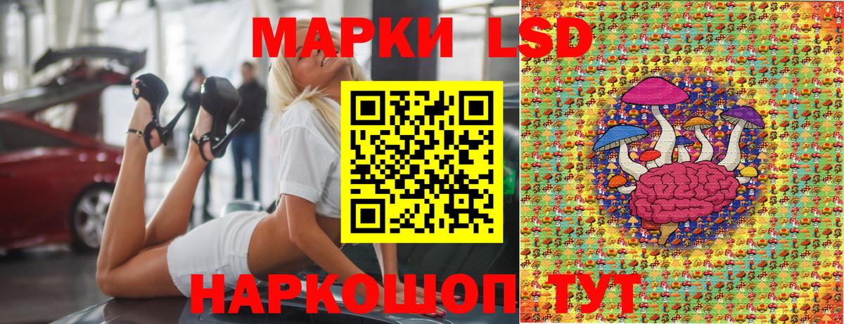Наркотические марки 1500мкг  Вход с VPN  Элиста  Наркотические марки 1500мкг 