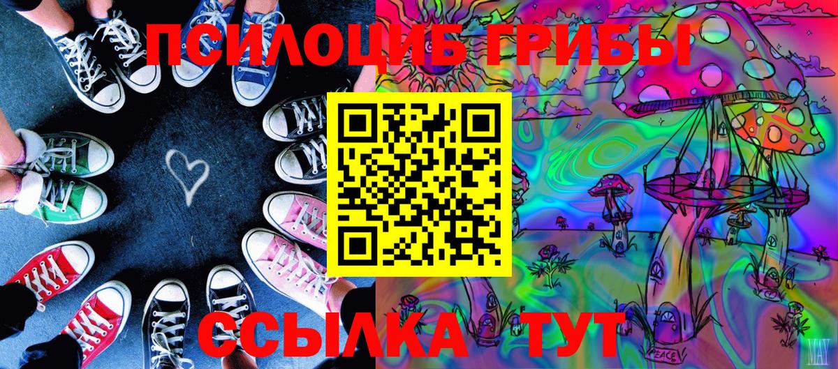 Элиста  Галлюциногенные грибы мицелий  Вход с VPN 