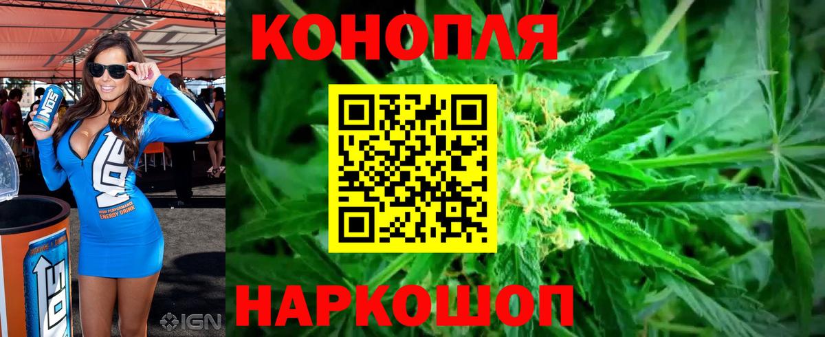 Конопля семена  Конопля планчик  Бошки марихуана план  Вход с VPN  Элиста 